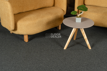 Haima Atom 06 Graphit фото 9 | FLOORDEALER